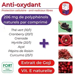 Nutrigée Anti-oxydant fort 60 comprimés