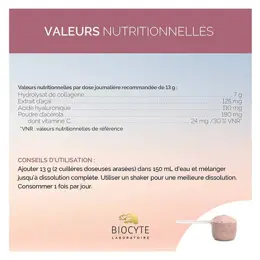 Biocyte Collagen Max Superfruits Anti-Age Collagène Acide Hyaluronique 260g