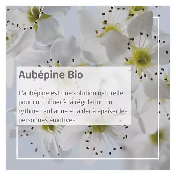 Weleda Extraits de Plantes Aubépine Bio 60ml