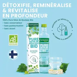 Santarome Bio - Pure Sève de Bouleau Bio - Détoxifie & Reminéralise - 500ml