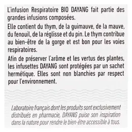 Dayang Infusion Respiratoire Bio 20 sachets