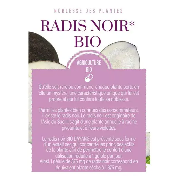 Dayang Radis Noir Bio 15 gélules