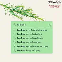 Pranarom Huile Essentielle Bio Tea Tree 10ml