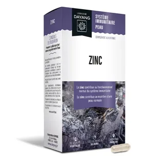Dayang Zinc 30 capsule