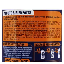 Apurna Boisson Hydratation Effort & Performance Thé Pêche 500g