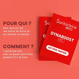 Santarome Bio Dynaboost Bio 14 sachets solubles