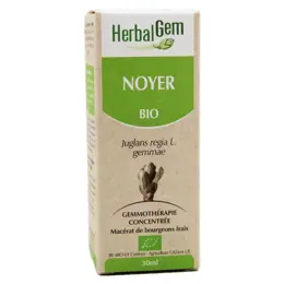 Herbalgem Macérat Concentré Noyer Bio 30ml