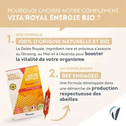 Vitavea Vita'Royal Gelée Royale Énergie Bio Vitalité 10 ampoules