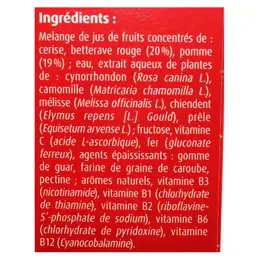 Hübner Iron Vital Force de Fer 250ml