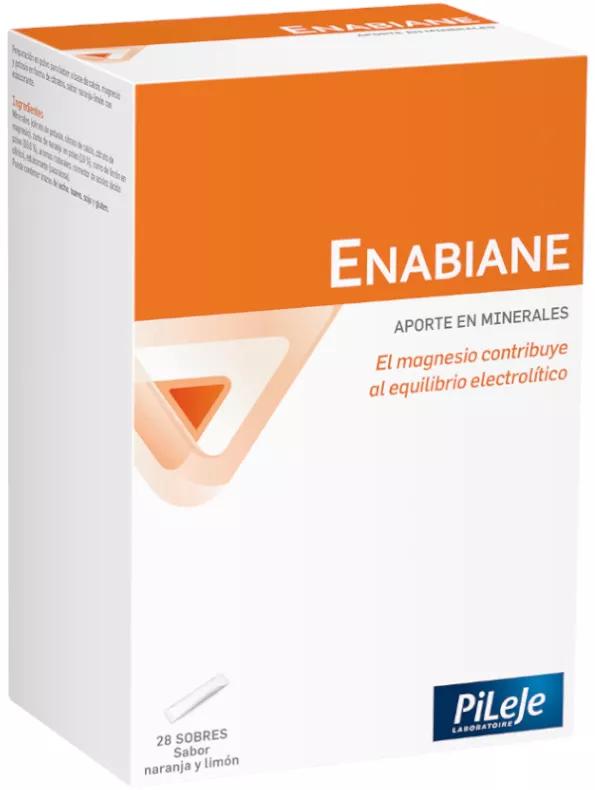 Enabiane Agrumes 28 Enveloppes