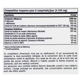 NHCO Uritis défenses du système urinaire 20 comprimés