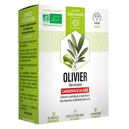 Dayang Phytothérapie Olivier Bio 30 gélules végétales