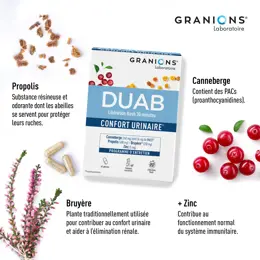 Granions Duab Propolis Canneberge Zinc 60 gélules