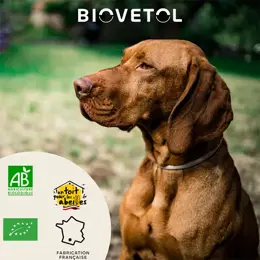 Biovetol - Alimentaire Bien-Être - Poudre Alt'vers Grand Chien Bio >20kg - 70g