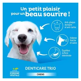 Clement Thekan Hygiène Bucco-dentaire Lamelles A Mâcher Chien 5-10kg