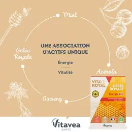 Vitavea Vita'Royal Gelée Royale Énergie Bio Vitalité 10 ampoules