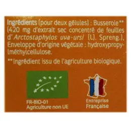 Naturactive Busserole Bio 30 gélules végétales