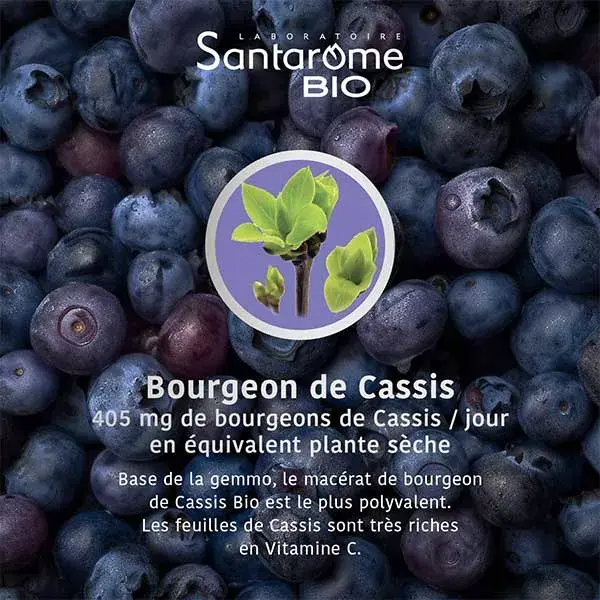 Santarome Organic Blackcurrent Supplement Pipette Bottle 30ml 