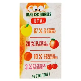 Vitabio Cool Fruits Pomme Pêche Abricot Acérola Bio 4 x 90g