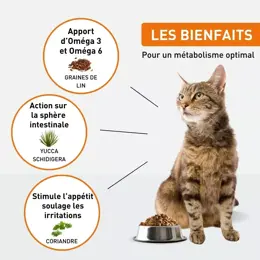 VetoNUT Chat Adulte 1kg