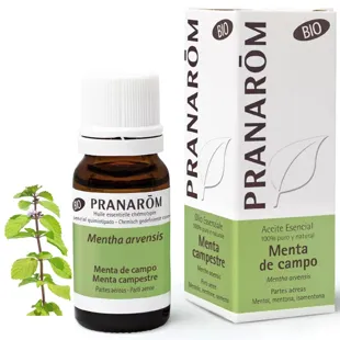 Pranarom Óleo Essencial de Menta de Campo BIO 10 ml