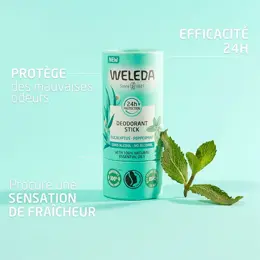 Weleda Déodorant stick Eucalyptus Peppermint Lot de 2 x 50 g