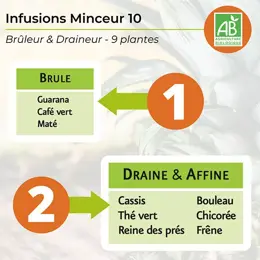 Nutrigée Infusion Minceur 10 Plantes 30 sachets