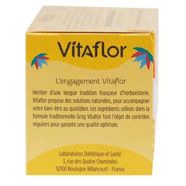 Vitaflor Bio Grog Tea Infusion Sachets x 18 