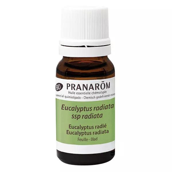 Pranarôm Aceite Esencial Bio Eucalipto Radiata 10 ml