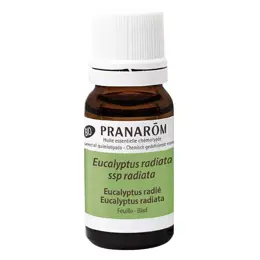 Pranarom Huile Essentielle Bio Eucalyptus Radié 10ml