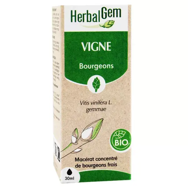 Herbalgem Macérat Concentré Vigne Bio 30ml