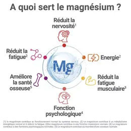 MAG 2 24H Magnésium Vitamine B6 Fatigue Nervosité 120 comprimés