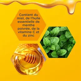 Zarbeil Gorge & Immunité Complément Alimentaire 24 Pastilles à Sucer