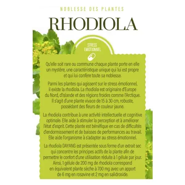 Dayang Rhodiola 15 gélules