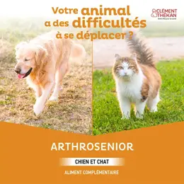 Clement Thekan Arthrosenior Chien  Mobilité Articulaire 60 Comprimés