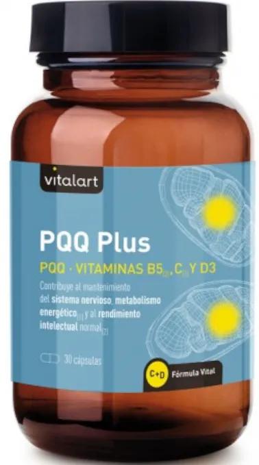 Vitalart PQQ Plus 30 Kapseln