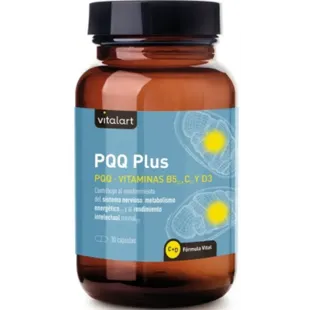 Vitalart PQQ Plus 30 Capsules