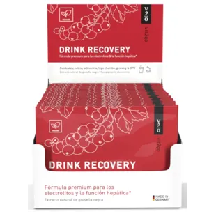 Vit2go Drink Recovery 30x10 gr Envelopes