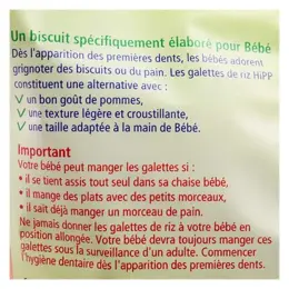 Hipp Bio Mon Goûter Plaisir Galettes de Riz à la Pomme +10m 30g