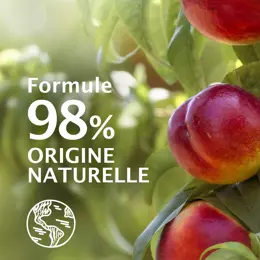 Le Petit Marseillais Bio Gel Douche Rafraîchissant Pêche Nectarine 250ml