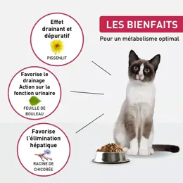 VetoNUT Chat Spécial Fonction Rénale 1kg