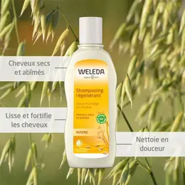 Weleda Avoine Shampoing Régénérant 190ml