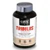 STC Nutrition Tribulus Synergy+ 90 gélules