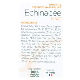 Lehning Hiver Echinacée N°40 Solution Buvable 30ml