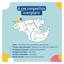 Pañales Carryboo de nuestras regiones Talla 1 (2-5 kg)