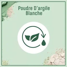 Le Petit Marseillais Shampoing Infusion Pureté Thym Bio et Argile Blanche 250ml