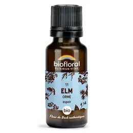 Biofloral 11 Elm Orme Granules Bio Fleur De Bach Granules 19,5 Gr