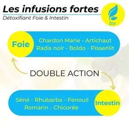 Nutrigée Infusion Détox 10 Plantes Bio 30 sachets