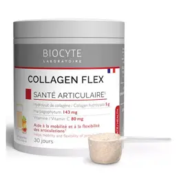 Biocyte Collagen Flex 240g