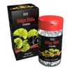 SID Nutrition Phyto Classics Ginkgo Biloba 90 gélules